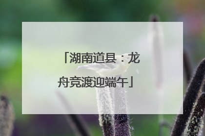 湖南道县：龙舟竞渡迎端午