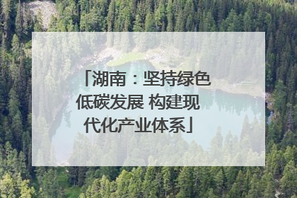 湖南：坚持绿色低碳发展 构建现代化产业体系