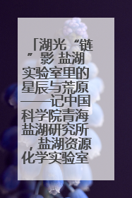 湖光“链”影 盐湖实验室里的星辰与荒原——记中国科学院青海盐湖研究所，盐湖资源化学实验室党总支书记、副主任刘忠