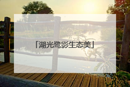 湖光鹭影生态美