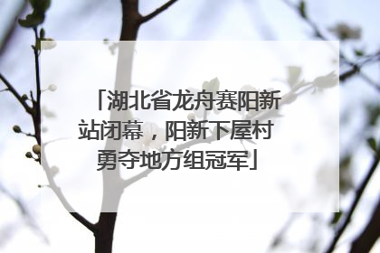 湖北省龙舟赛阳新站闭幕，阳新下屋村勇夺地方组冠军