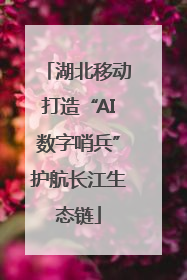 湖北移动打造“AI数字哨兵”护航长江生态链