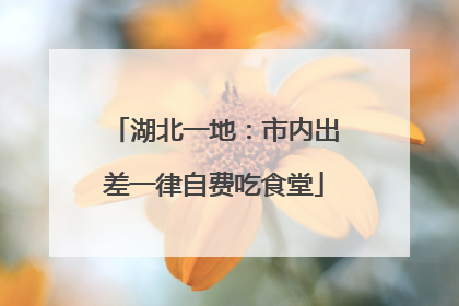 湖北一地：市内出差一律自费吃食堂
