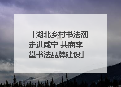 湖北乡村书法潮走进咸宁 共商李邕书法品牌建设