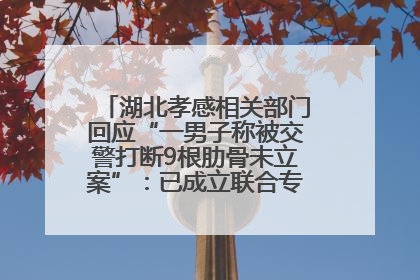 湖北孝感相关部门回应“一男子称被交警打断9根肋骨未立案”：已成立联合专班开展工作