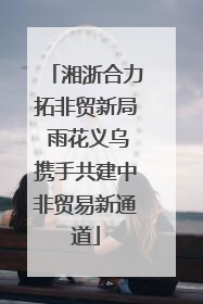 湘浙合力拓非贸新局 雨花义乌携手共建中非贸易新通道