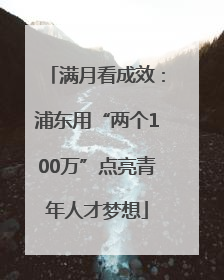 满月看成效：浦东用“两个100万”点亮青年人才梦想