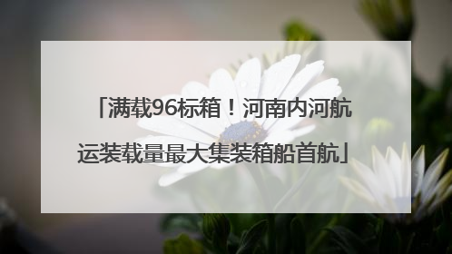 满载96标箱！河南内河航运装载量最大集装箱船首航