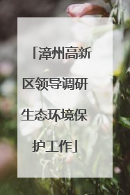 漳州高新区领导调研生态环境保护工作