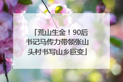荒山生金！90后书记马传力带领张山头村书写山乡巨变