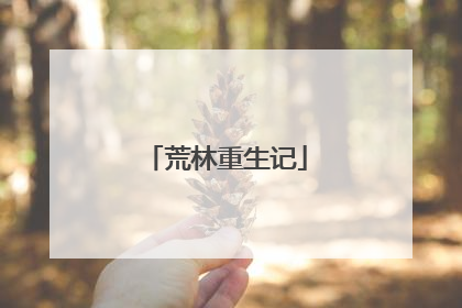 荒林重生记