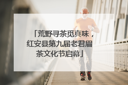 荒野寻茶觅真味，红安县第九届老君眉茶文化节启幕