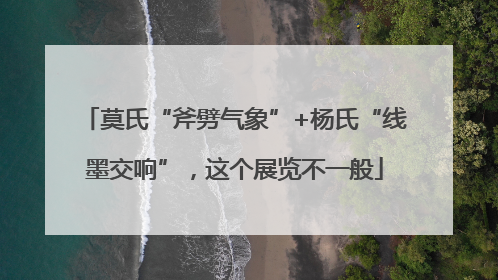 莫氏“斧劈气象”+杨氏“线墨交响”，这个展览不一般