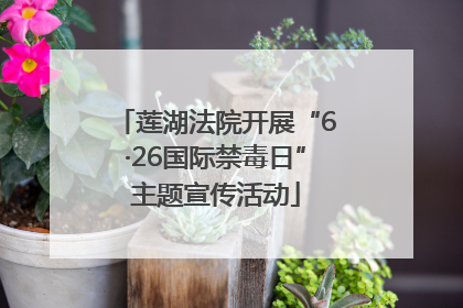 莲湖法院开展“6·26国际禁毒日”主题宣传活动