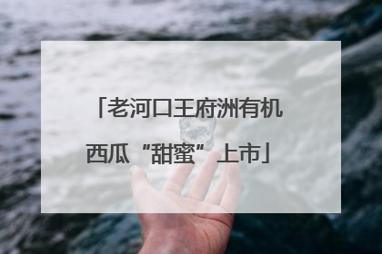 老河口王府洲有机西瓜“甜蜜”上市