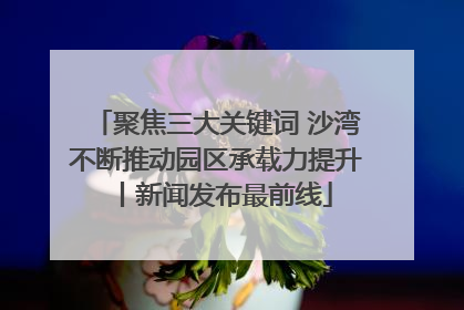 聚焦三大关键词 沙湾不断推动园区承载力提升丨新闻发布最前线