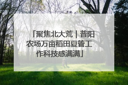 聚焦北大荒｜普阳农场万亩稻田夏管工作科技感满满