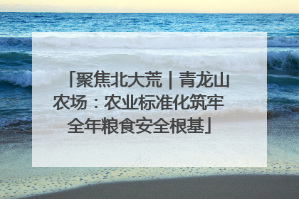 聚焦北大荒｜青龙山农场：农业标准化筑牢全年粮食安全根基