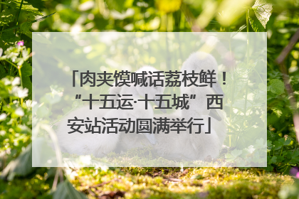 肉夹馍喊话荔枝鲜！“十五运·十五城”西安站活动圆满举行
