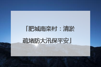 肥城南栾村：清淤疏堵防大汛保平安