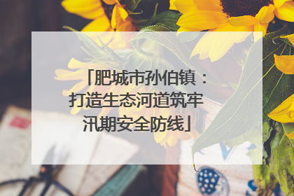 肥城市孙伯镇：打造生态河道筑牢汛期安全防线