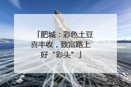 肥城：彩色土豆喜丰收，致富路上好“彩头”