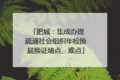 肥城：集成办理 疏通社会组织年检换届换证堵点、难点