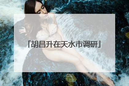胡昌升在天水市调研