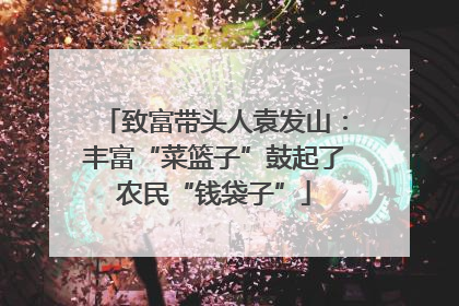 致富带头人袁发山：丰富“菜篮子”鼓起了农民“钱袋子”