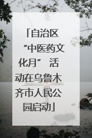 自治区 “中医药文化月” 活动在乌鲁木齐市人民公园启动