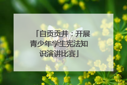 自贡贡井：开展青少年学生宪法知识演讲比赛