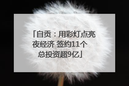 自贡：用彩灯点亮夜经济 签约11个总投资超9亿