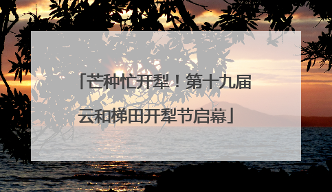 芒种忙开犁！第十九届云和梯田开犁节启幕