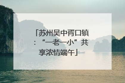苏州吴中胥口镇：“一老一小”共享浓情端午