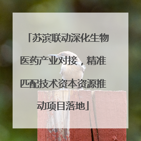 苏滨联动深化生物医药产业对接，精准匹配技术资本资源推动项目落地