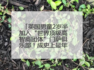 英国男童2岁半加入“世界顶级高智商团体”门萨俱乐部！成史上最年轻男性会员