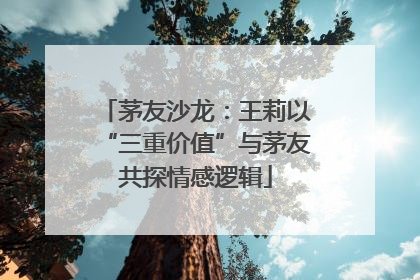 茅友沙龙：王莉以“三重价值”与茅友共探情感逻辑