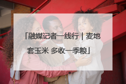 融媒记者一线行｜麦地套玉米 多收一季粮