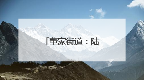 董家街道：陆海大通道释放“黄金效应”