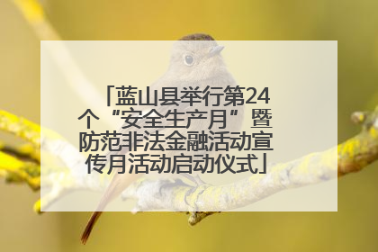 蓝山县举行第24个“安全生产月”暨防范非法金融活动宣传月活动启动仪式