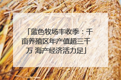 蓝色牧场丰收季：千亩养殖区年产值超三千万 海产经济活力足