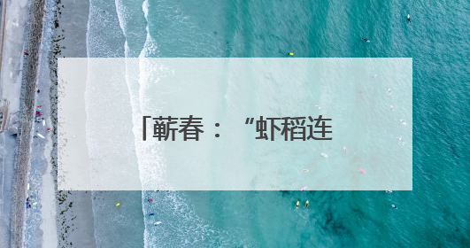 蕲春：“虾稻连作”破困局 科技赋能焕新生