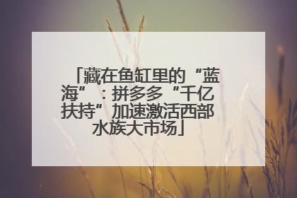 藏在鱼缸里的“蓝海”：拼多多“千亿扶持”加速激活西部水族大市场