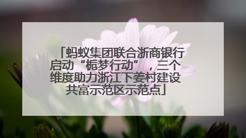 蚂蚁集团联合浙商银行启动“栀梦行动”，三个维度助力浙江下姜村建设共富示范区示范点