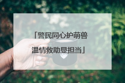 警民同心护萌兽 温情救助显担当