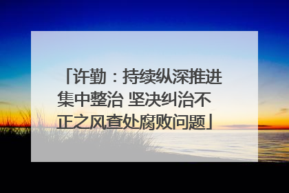 许勤：持续纵深推进集中整治 坚决纠治不正之风查处腐败问题