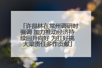 许昆林在常州调研时强调 加力推动经济持续回升向好 为扛好挑大梁责任多作贡献