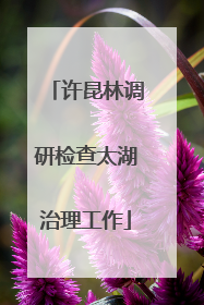 许昆林调研检查太湖治理工作