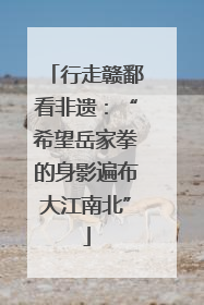 行走赣鄱看非遗：“希望岳家拳的身影遍布大江南北”