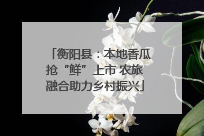 衡阳县：本地香瓜抢“鲜”上市 农旅融合助力乡村振兴